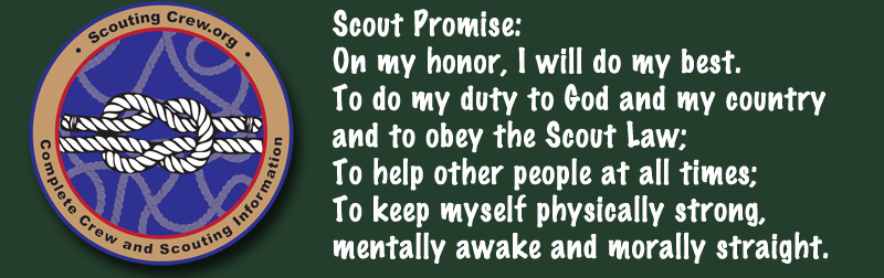Troop Archives Scouting Workforce photograph regarding Bsa Cyber Chip Green Card Printable titled Troop Archives Scouting Workforce
