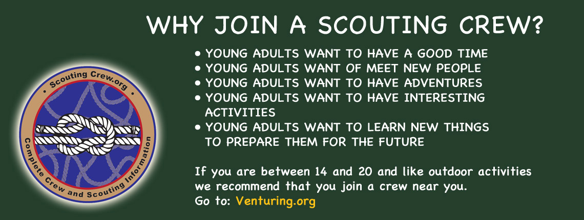 Scouting Group graphic about Bsa Cyber Chip Green Card Printable identified as Scouting Group